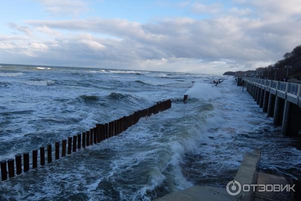 Набережная г. Светлогорск (Россия, Калининградская область) фото