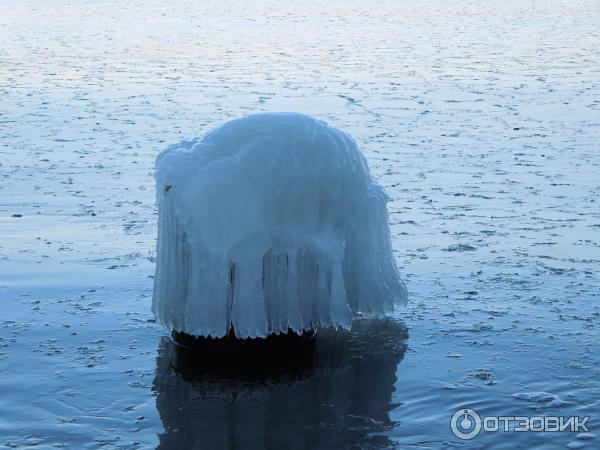 Набережная г. Светлогорск (Россия, Калининградская область) фото