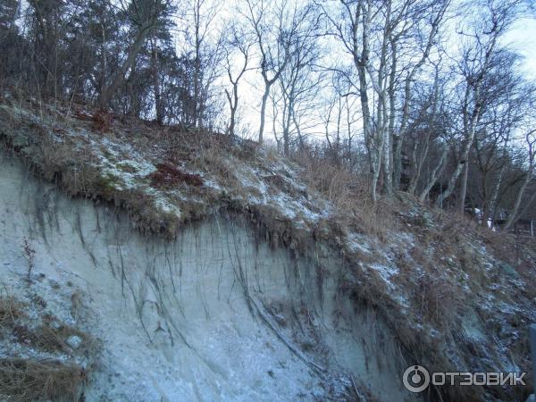 Набережная г. Светлогорск (Россия, Калининградская область) фото