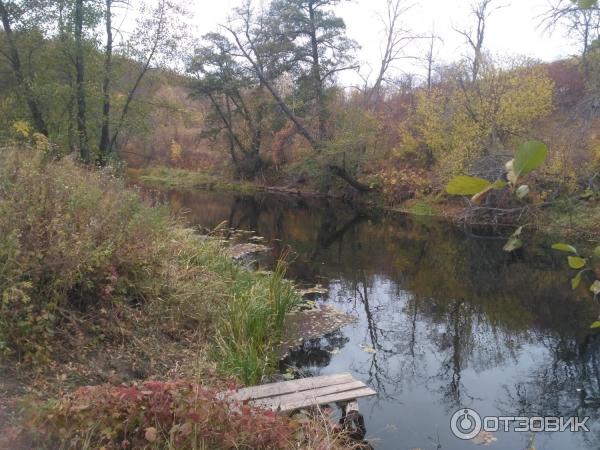 Отдых в Воронежской области