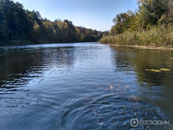 Отдых в Воронежской области