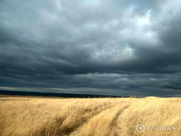 Воронежская область