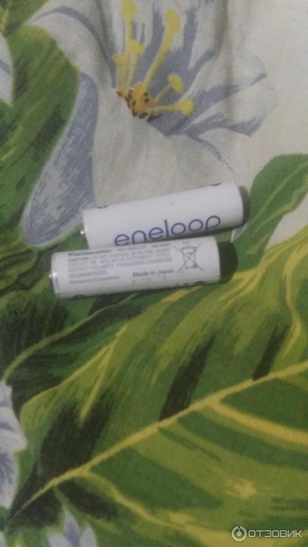 Аккумуляторы Panasonic Eneloop BK-3MCCE AA 1900 mAh фото