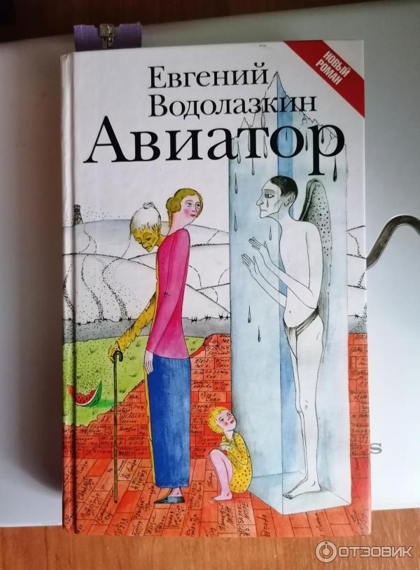 Читать книга авиатор 10 дорин. Авиатор книга.