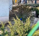 Московский Зоопарк (Россия, Москва) фото