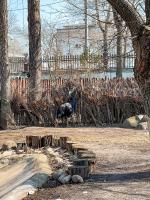 Московский Зоопарк (Россия, Москва) фото