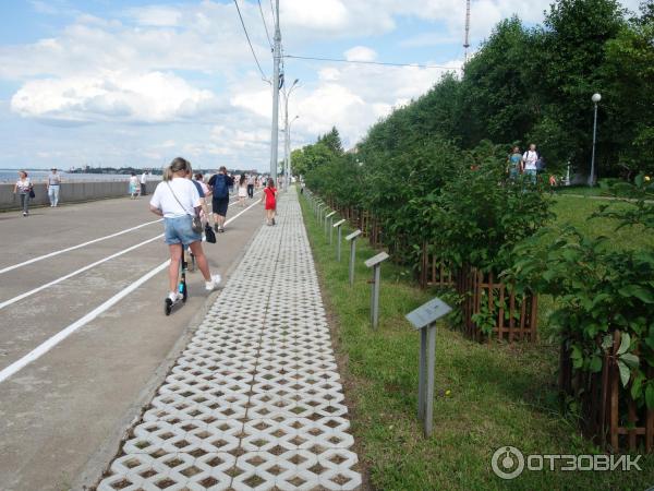 Петровский парк в Архангельске