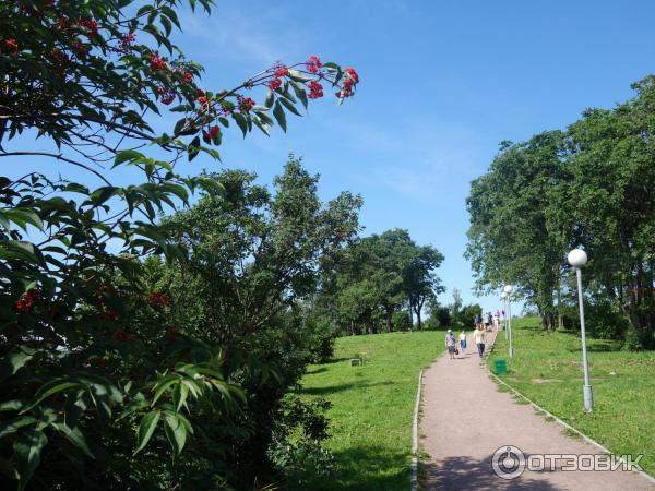 Петровский парк в Архангельске