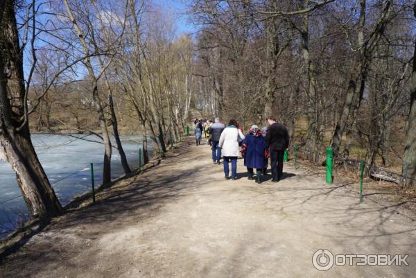 Ясная Поляна (Россия, Тульская область) фото