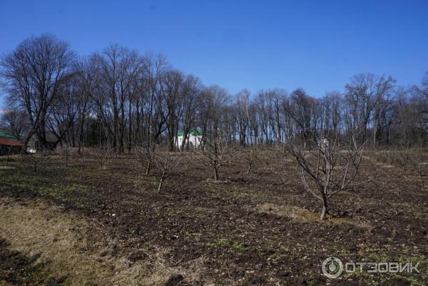 Ясная Поляна (Россия, Тульская область) фото