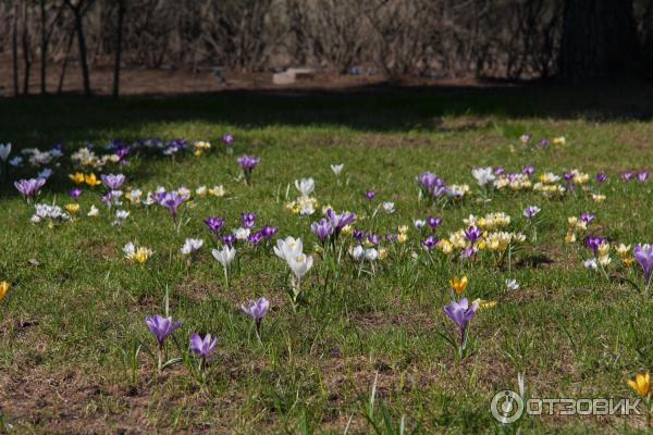 Выставка Билл Виола. Путешествие души фото