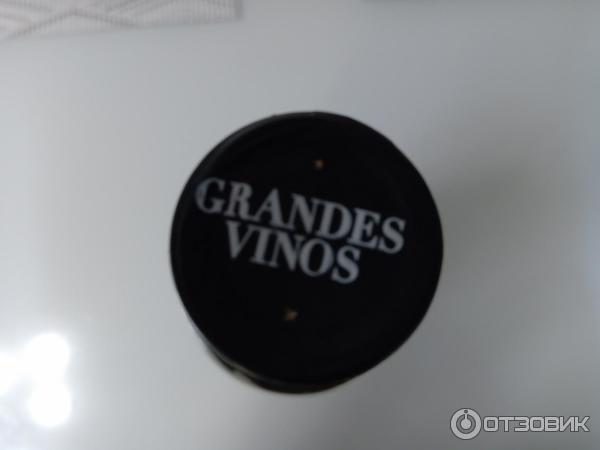 Вино красное сухое Grandes Vinos y Viñedos Monasterio de las Vinas Crianza фото