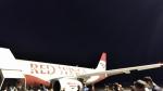 Авиакомпания Red Wings фото