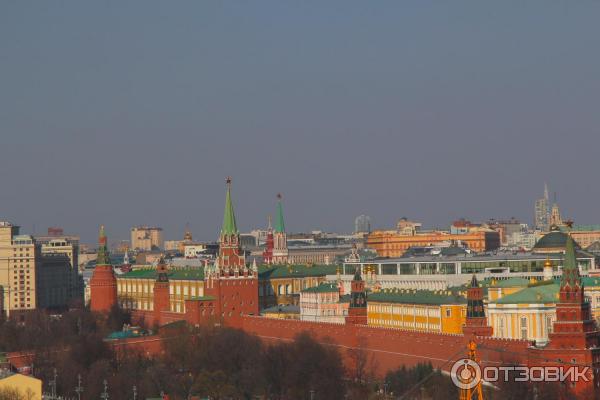 Смотровая площадка храма Христа Спасителя (Россия, Москва) фото