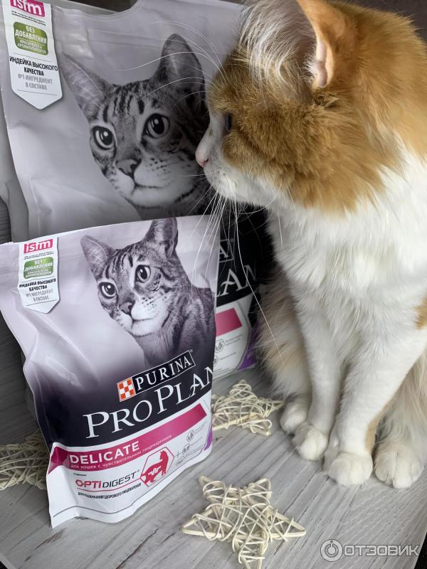 Сухой корм для кошек Purina Pro Plan Delicate фото