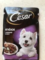 Корм для собак Cesar фото
