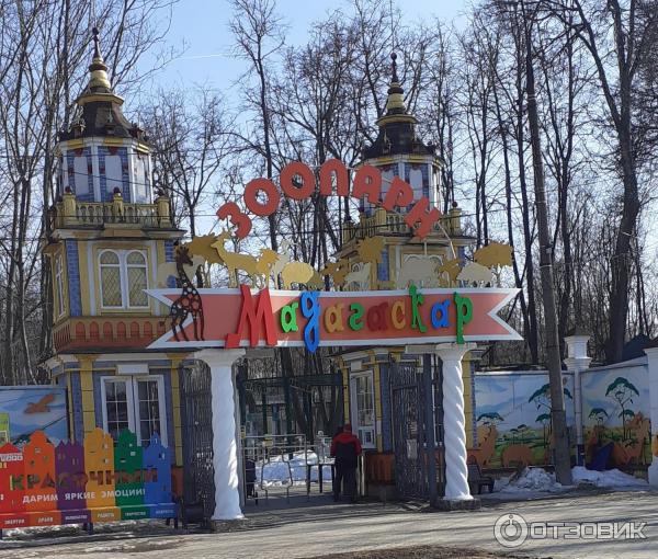 Мадагаскар нижний новгород нижегородская область