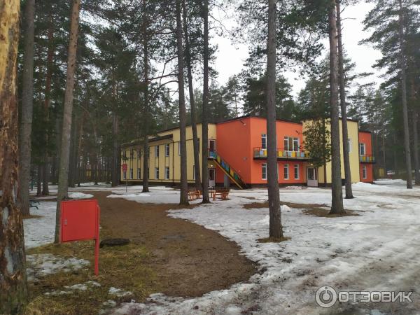 Детский оздоровительный лагерь Пионер (Россия, Ленинградская область) фото