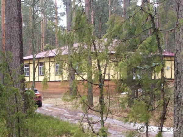 Детский оздоровительный лагерь Пионер (Россия, Ленинградская область) фото