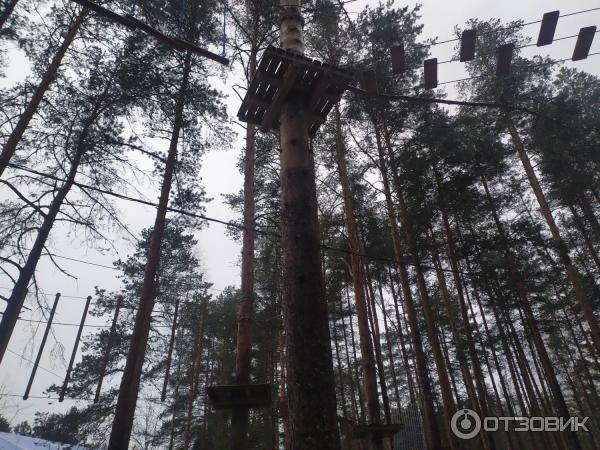 Детский оздоровительный лагерь Пионер (Россия, Ленинградская область) фото