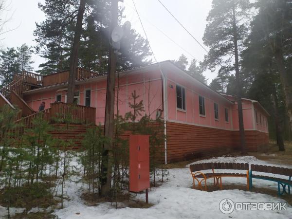 Детский оздоровительный лагерь Пионер (Россия, Ленинградская область) фото