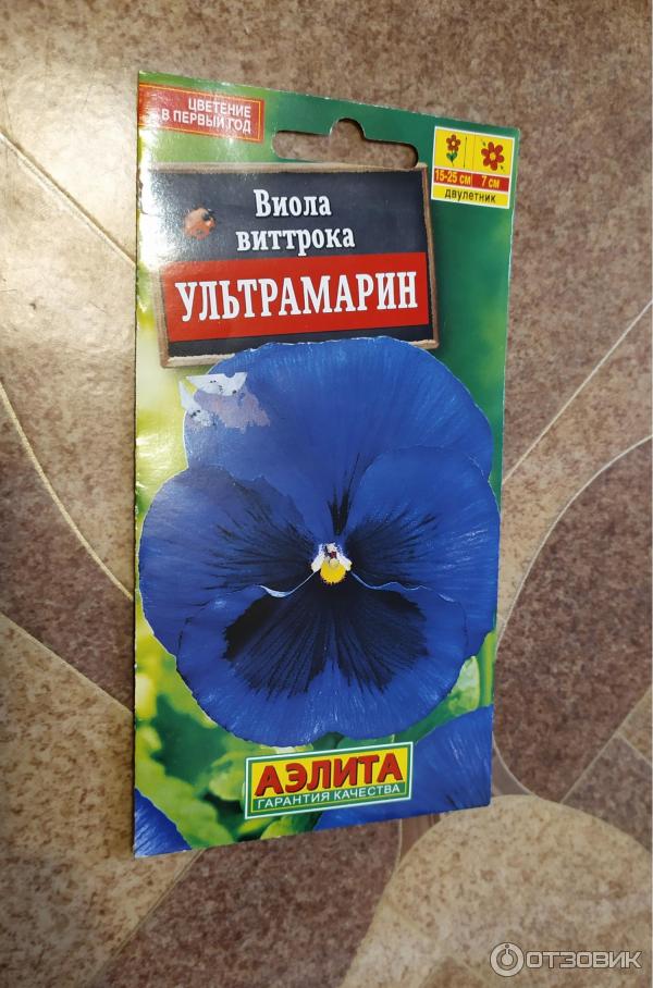 Виола Вирокка клубничный