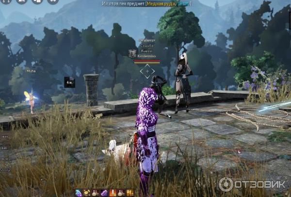 Black Desert - игра для PC фото