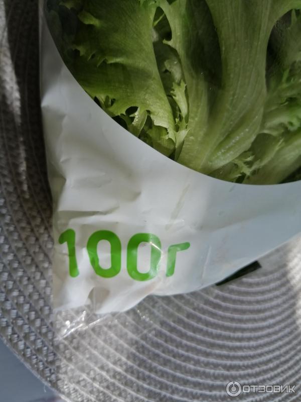 Семена Фриллис Купить В Петрозаводске