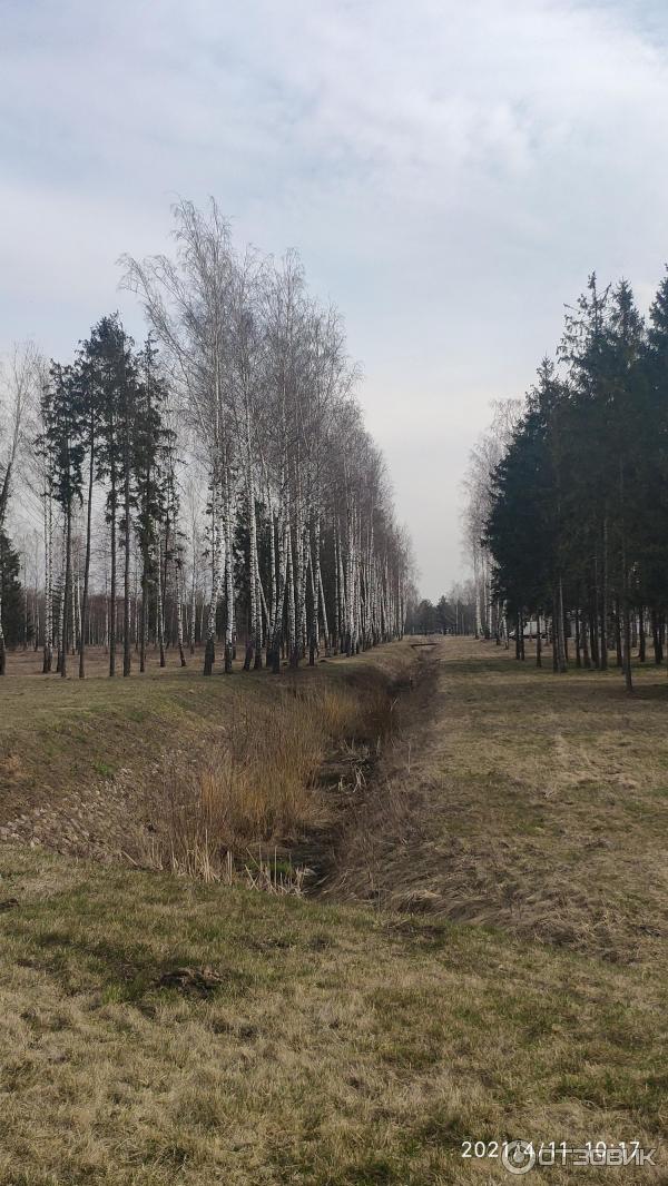 Мемориальный комплекс памяти героев и жертв Первой мировой войны (Беларусь, Сморгонь) фото