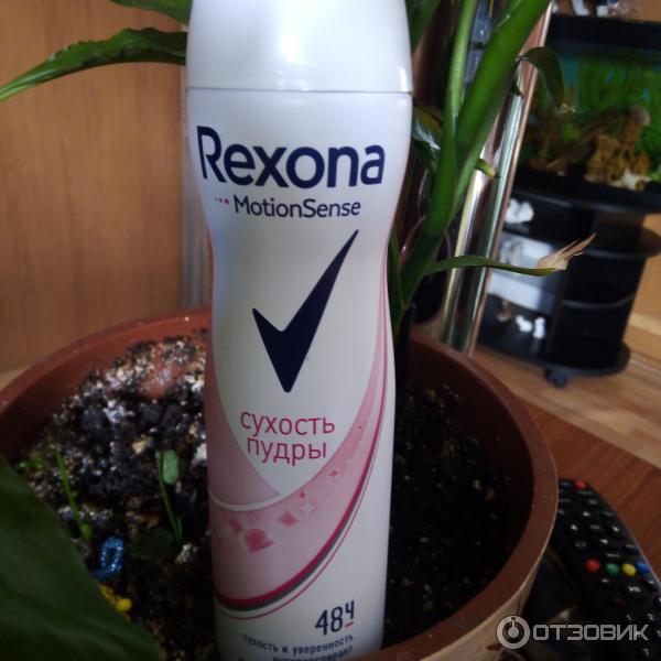 Дезодорант Rexona Сухость пудры фото