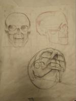 Kalachevaschool.ru - онлайн-школа рисования Вероники Калачевой фото