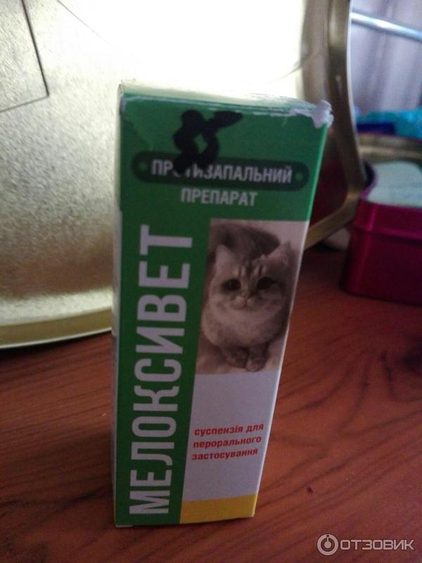 Мелоксивет для кошек для чего. Мелоксивет для кошек для чего