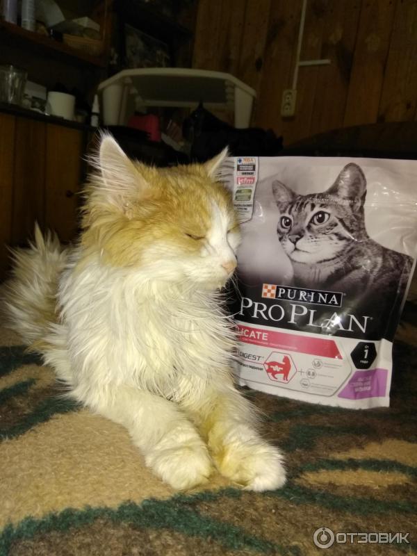 Корм для кошек ProPlan Delicat! фото