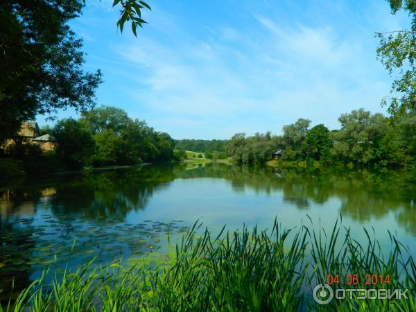 Ясная Поляна (Россия, Тульская область) фото