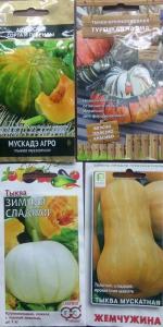 Семена Агрофирма Поиск "Тыква мускатная Мускаде Агро" фото