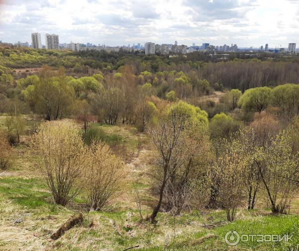 Сходненская чаша (Россия, Москва) фото