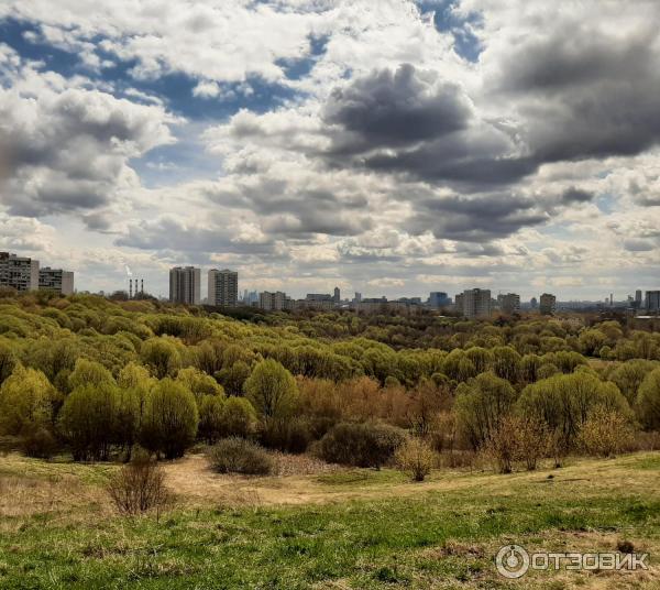 Сходненская чаша (Россия, Москва) фото