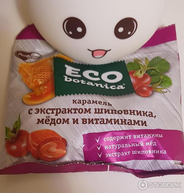 Карамель с фруктовой начинкой Eco-Botanica с экстрактом шиповника, медом и витаминами фото