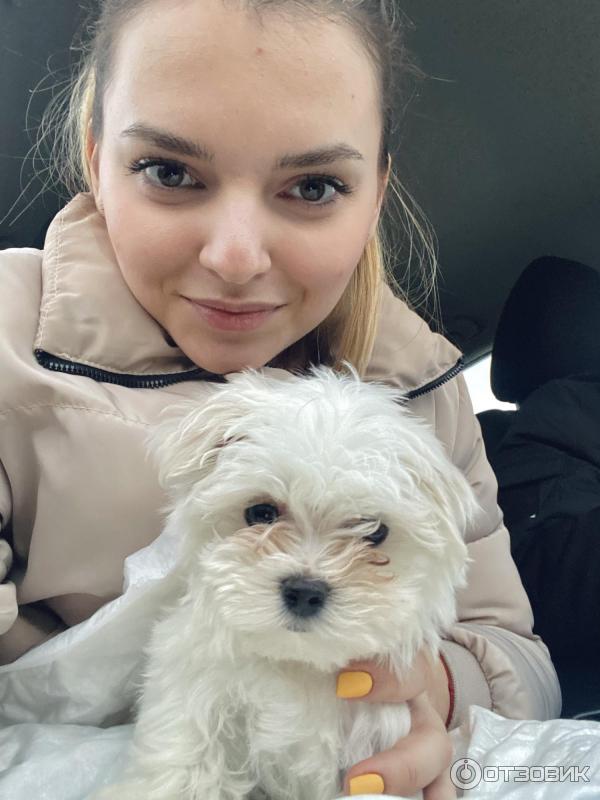 Наш Рокки