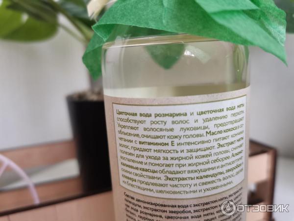 Шампунь OZ! OrganicZone Для жирных у корней и сухих на кончиках волос Очищение и нормализация фото