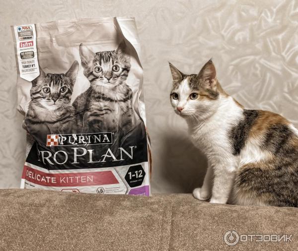 Сухой корм для котят Proplan Purina Delicate фото