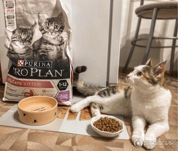 Сухой корм для котят Proplan Purina Delicate фото