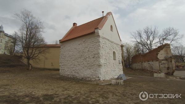 Выборгский краеведческий музей (Россия, Выборг) фото