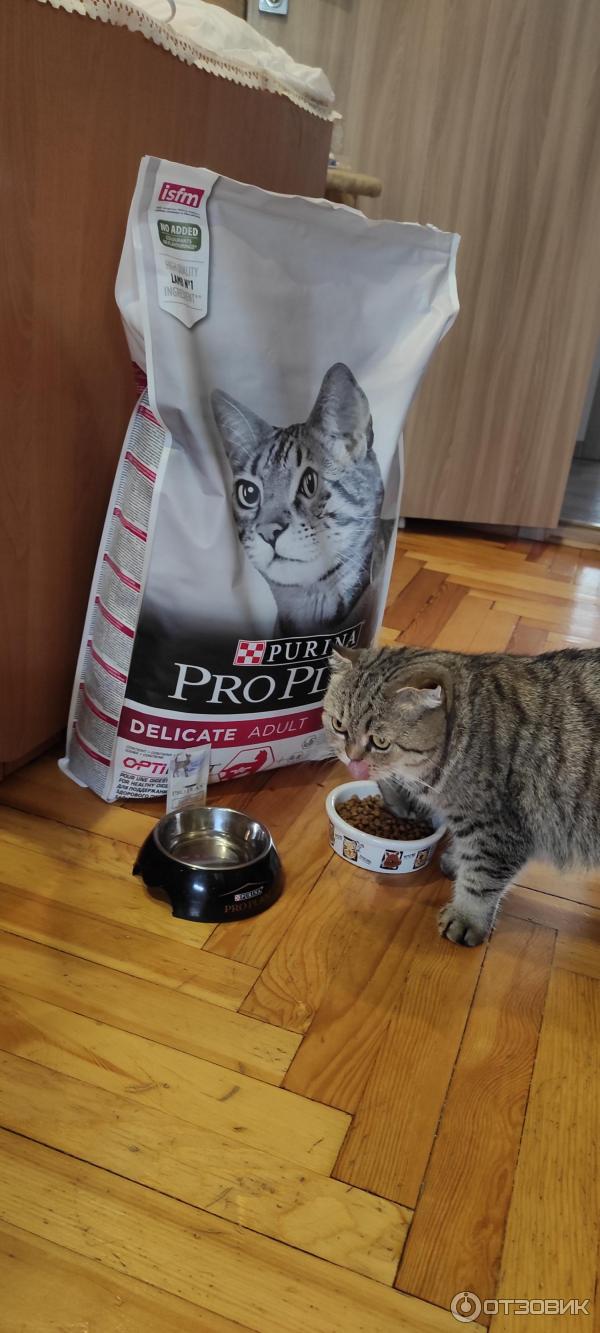 Корм для кошек ProPlan Delicat! фото