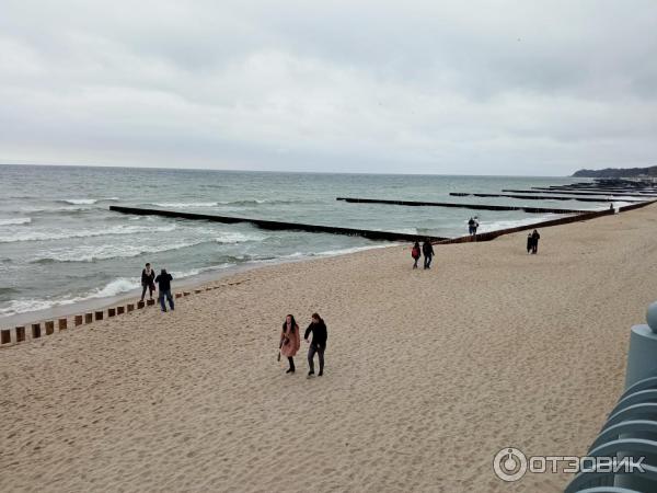 Отдых в г. Светлогорск (Россия, Калининградская область) фото