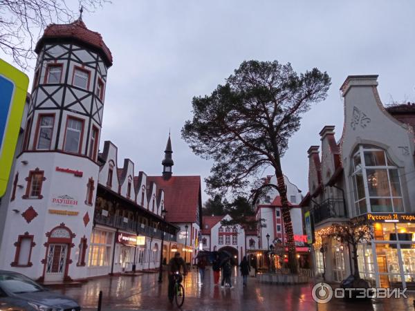 Отдых в г. Светлогорск (Россия, Калининградская область) фото