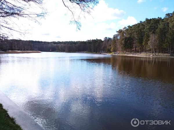 Отдых в г. Светлогорск (Россия, Калининградская область) фото