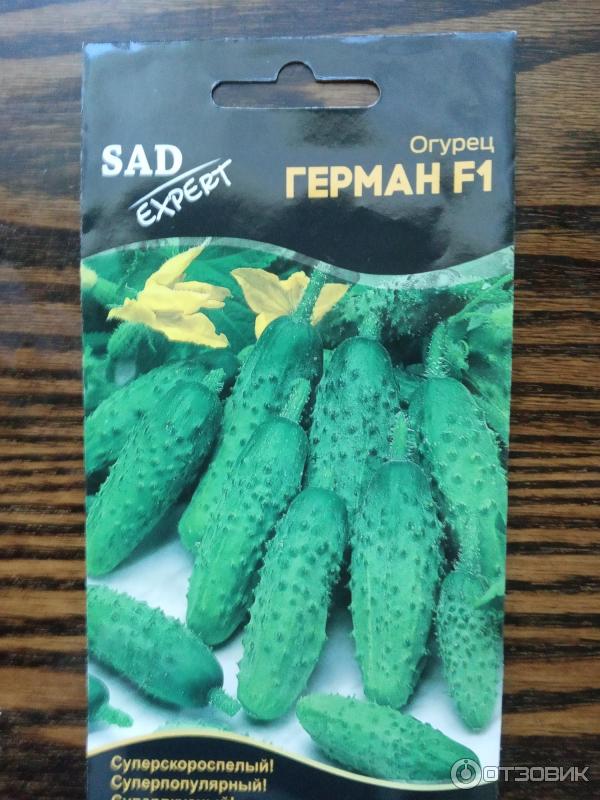 Купить Семена Герман