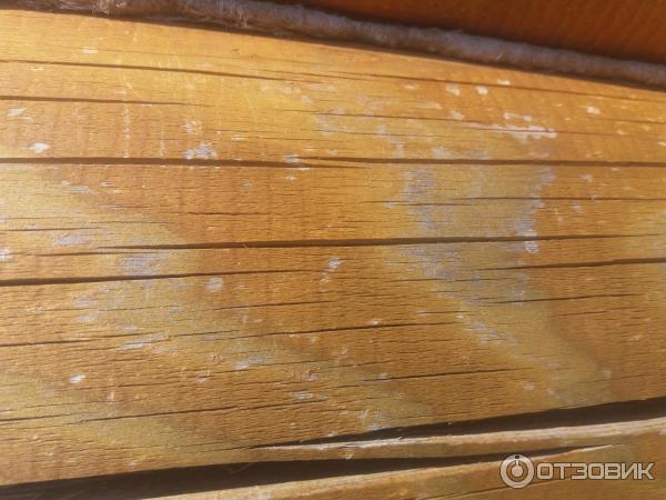 Пропитка антисептик Текстурол классик на оцилиндрованном доме