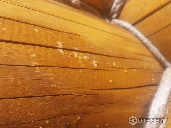 Пропитка антисептик Текстурол классик на оцилиндрованном доме